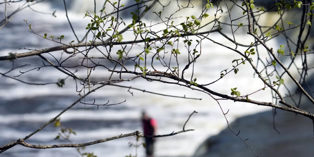 В субботу в Латвии ожидается облачная погода без значительных осадков