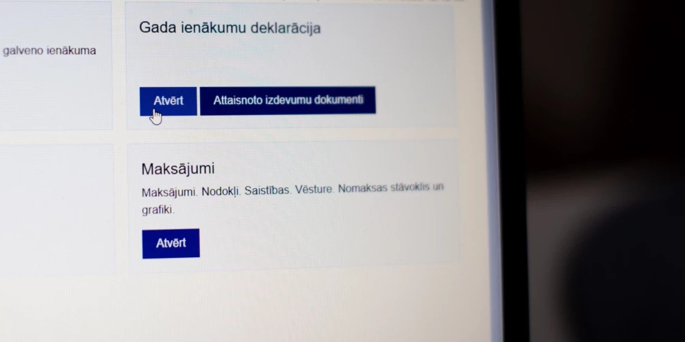 В VID напомнили жителям о важной проверке данных при подаче годовой декларации