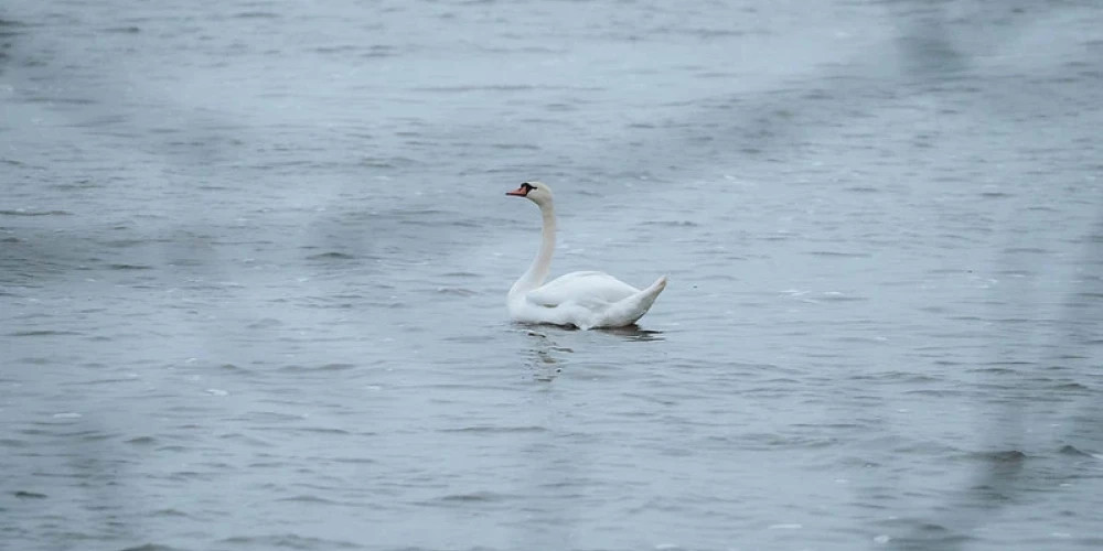 Во вторник в Латвии ожидается потепление до +12 градусов