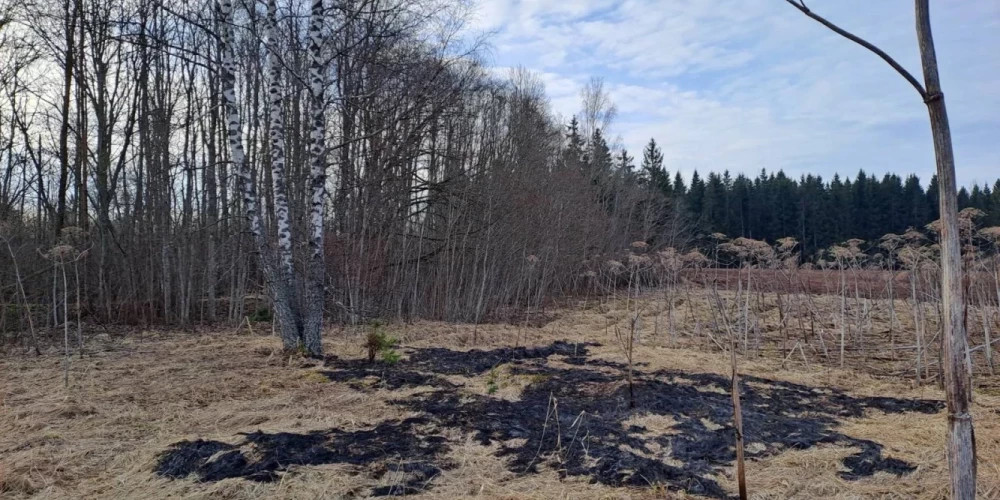 Жители Эзерниеки слышали два дрона, один из которых взорвался в Латвии