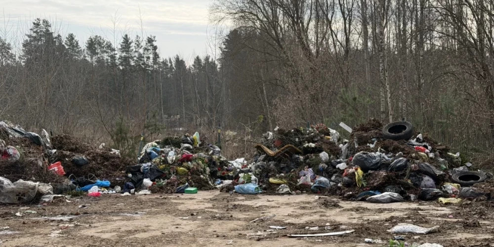 Даугавпилс выделит 55 000 евро на борьбу с нелегальными свалками