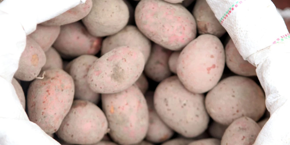 Дефицит дешевого картофеля в магазинах Латвии: запасы исчерпываются, производители поднимают цены