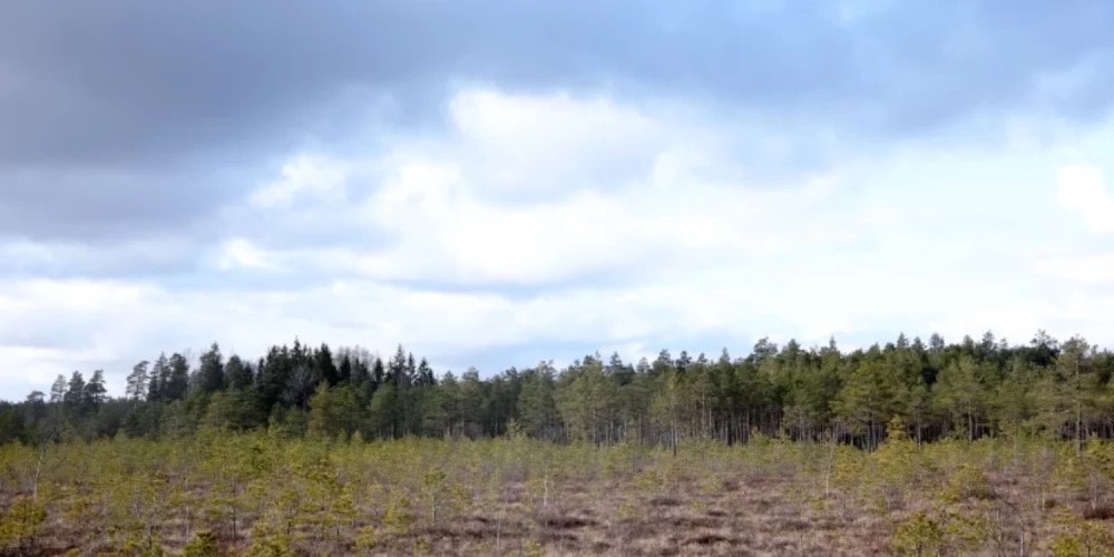Дожди ожидаются в Латвии в четверг, особенно в юго-восточных регионах