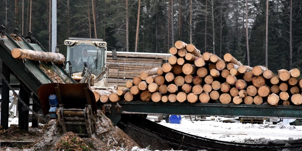 Латвийские лесозаготовки: растут объёмы вырубки, но не в ожидаемых местах