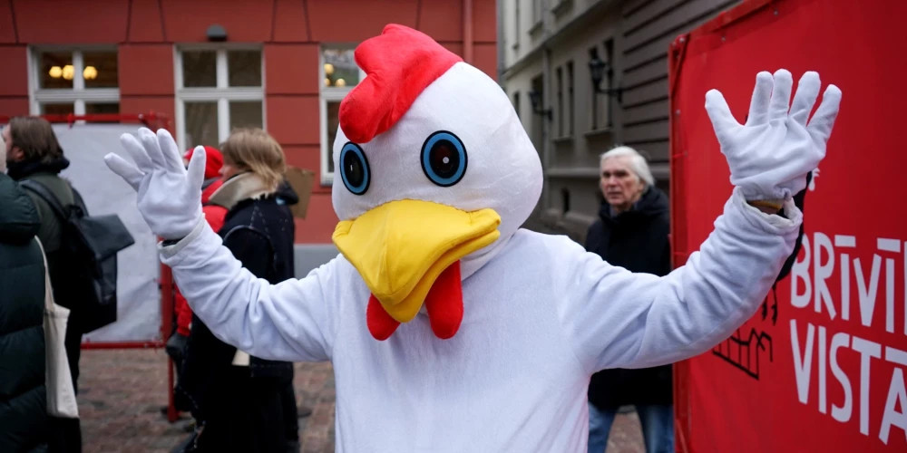 Латвия стремится занять лидерские позиции в Северной Европе по производству яиц