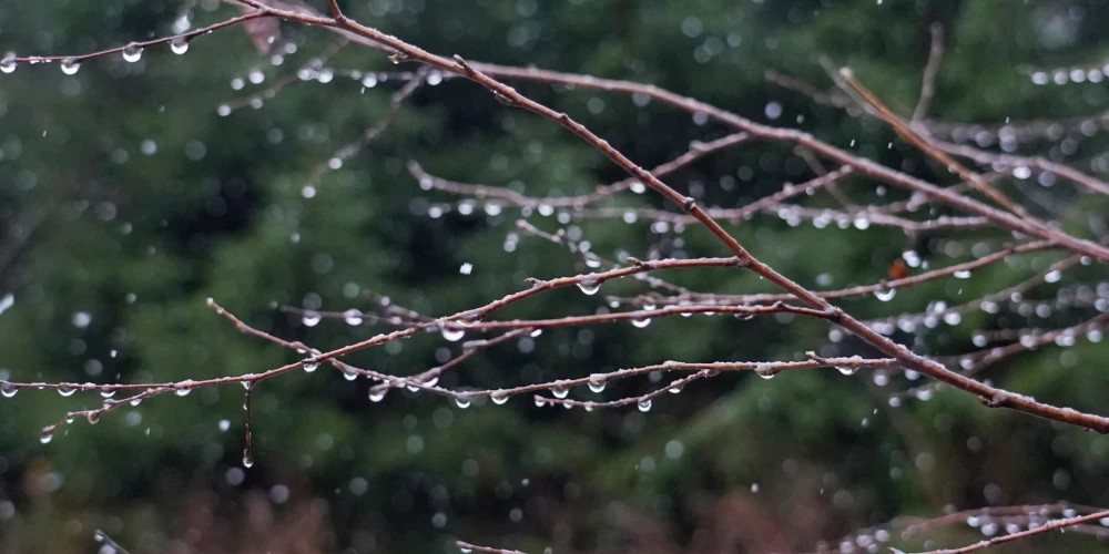 Латвию ожидают облачные дни с дождем и порывами ветра до 17 м/с