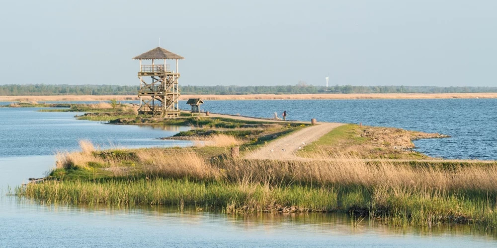 Лошадиный остров в Лиепае: трансформация бывшей свалки в уникальное природное пространство