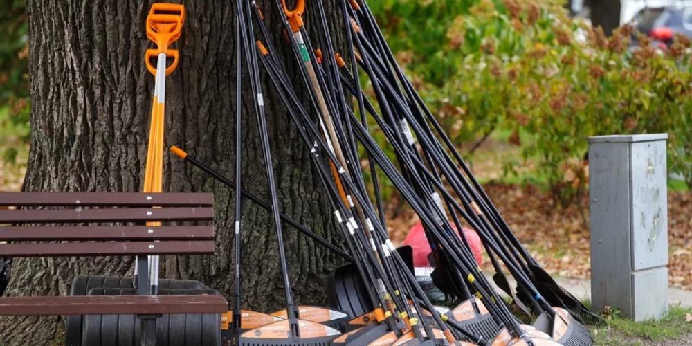 Почти 1000 работодателей ищут школьников на летнюю работу в Латвии