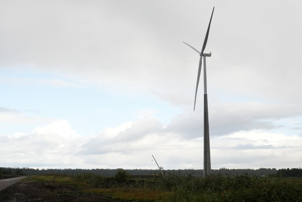 Правительство Латвии поэтапно приватизирует крупнейшие госкомпании