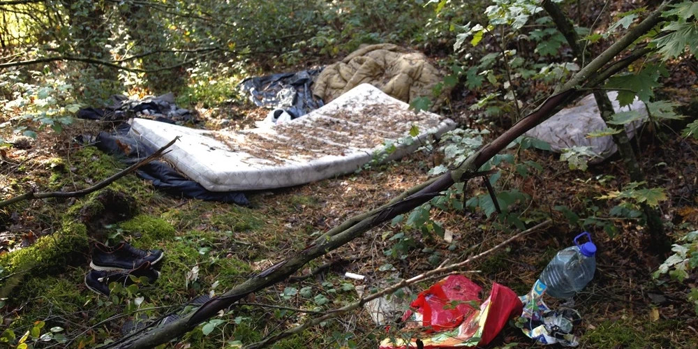 Предприятие Latvijas valsts meži обнародовало данные о росте загрязнения латвийских лесов отходами