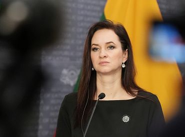 Премьер Литвы опровергла информацию Украины о сознательной отправке дронов Россией в Балтию