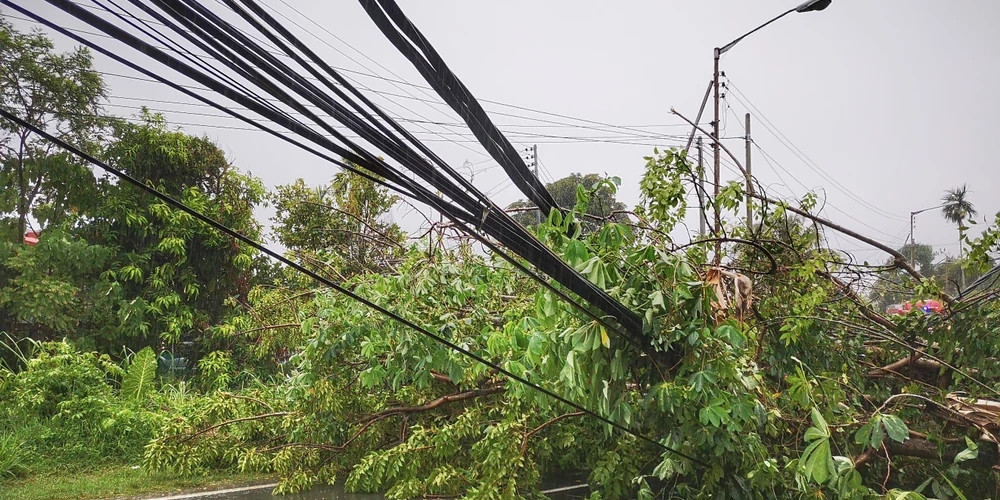 Sadales tīkls призывает жителей Латвии зарядить устройства перед надвигающейся бурей