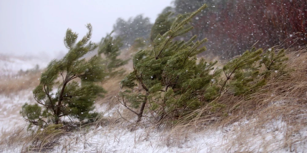 Сильный ветер и снег наблюдаются в Латвии в воскресенье утром
