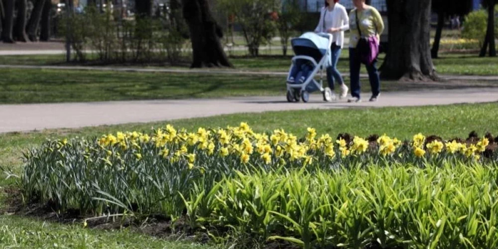 Синоптики предсказали приход весеннего тепла в Латвию через несколько дней