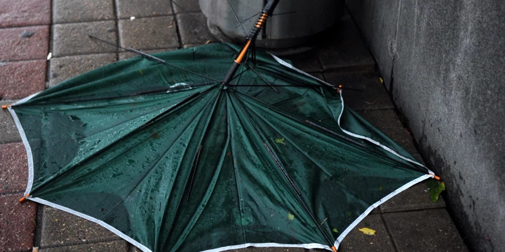 Синоптики предупреждают о сильном ветре и возможном повале деревьев в Латвии