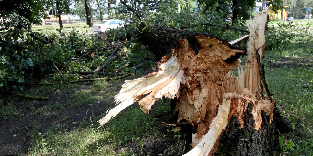 Спасатели Латвии провели 17 выездов за сутки из-за сильного ветра
