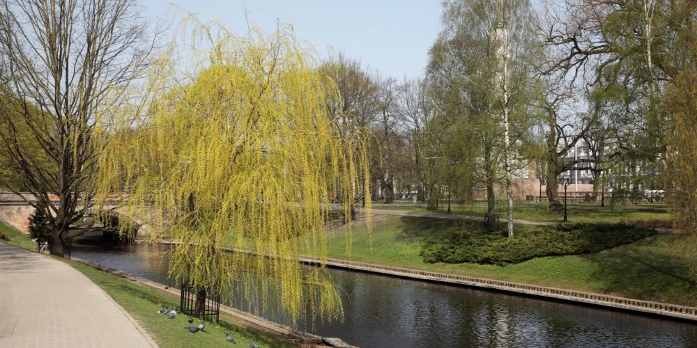 Суббота подарит Латвии солнечную и теплую погоду