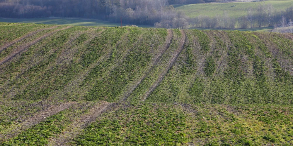 Температура в Видземе достигла -5 градусов, днем ожидается солнечная погода