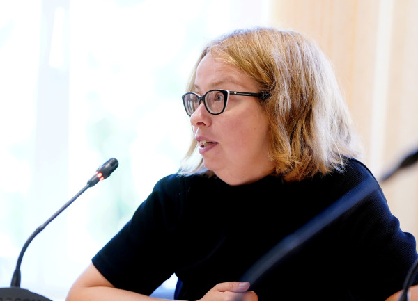 У «Нового Единства» нет запасного плана в условиях политической нестабильности