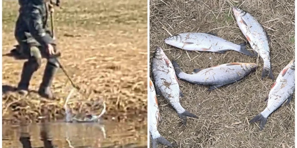 В Адажи задержан браконьер: штраф может превысить 1000 евро
