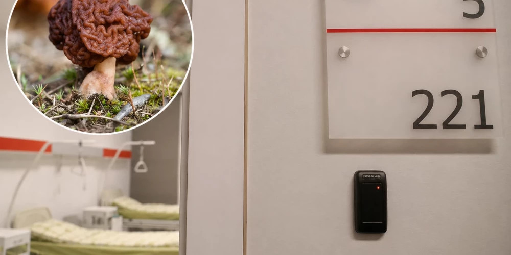 В Латвии госпитализирован грибник с тяжёлым отравлением после употребления грибов