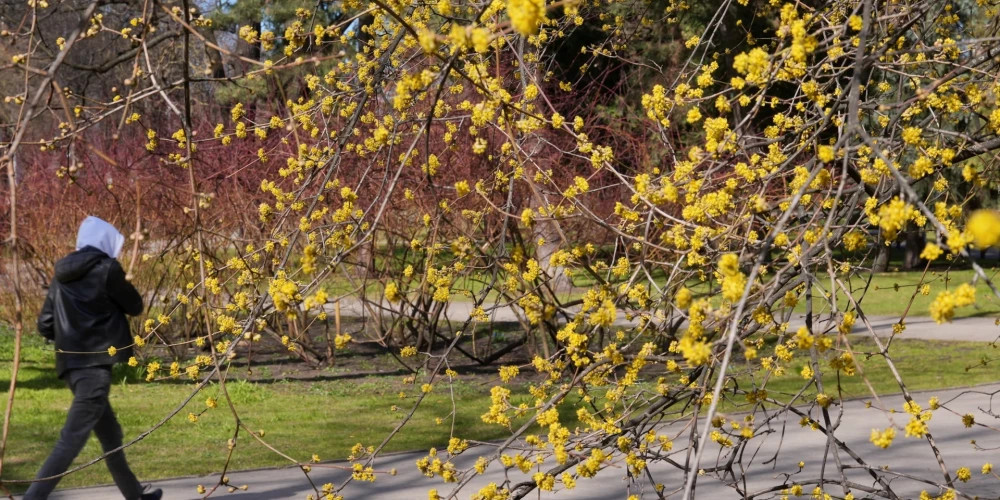 В Латвии ожидается температура до +20 градусов на следующей неделе