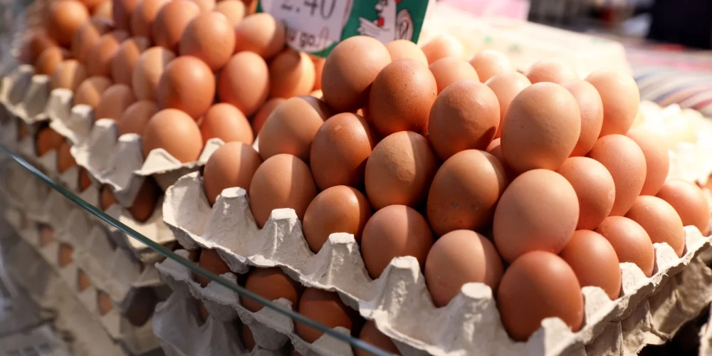 В Латвии возникает спор по поводу украинских яиц, не соответствующих стандартам ЕС