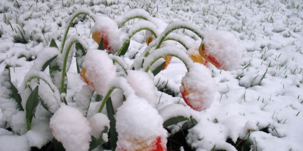В начале недели в Латвии ожидается похолодание до -4 градусов, возможны снег и град