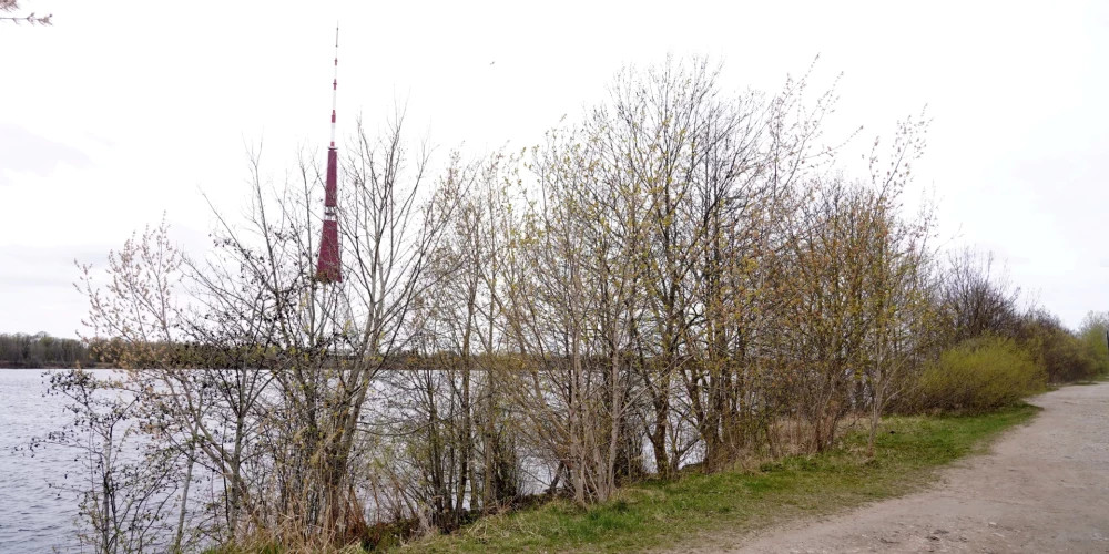 В понедельник в Латвии ожидаются заморозки ночью и осадки днем до +10 градусов