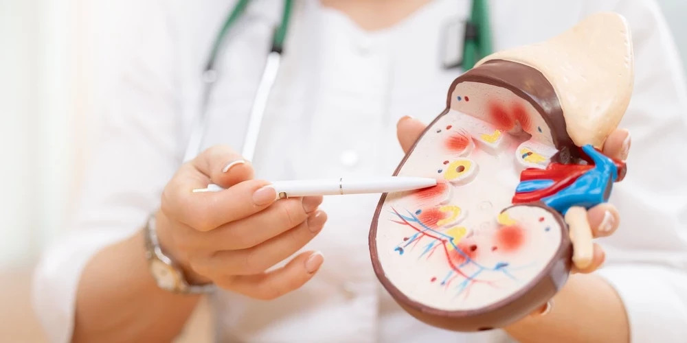 В Риге пройдет благотворительный вечер в поддержку пациентов с заболеваниями почек