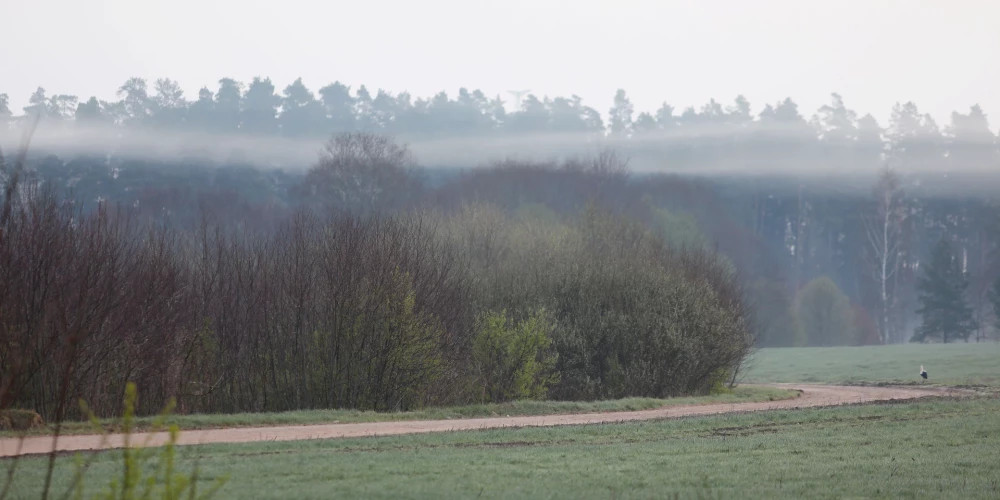 В среду ожидается солнечная погода с температурой до 9 градусов