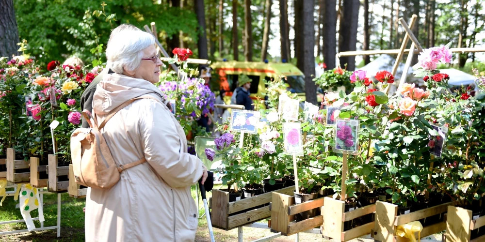 В Вентспилсе ожидается ярмарка с продажей цветов и местной продукции