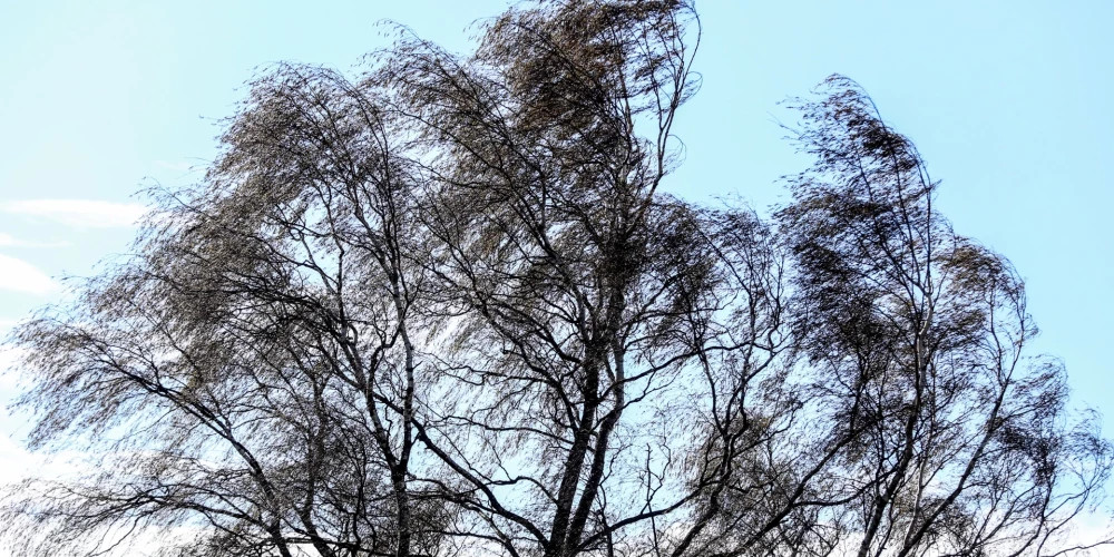 В Восточной Латвии ожидаются порывистый ветер и кратковременные осадки в понедельник