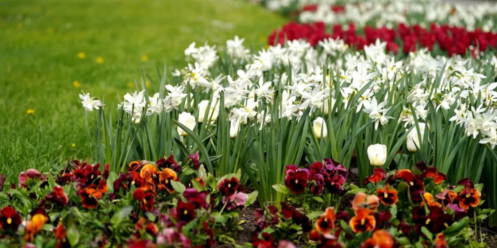Во вторник температура воздуха в Латвии достигнет +16 градусов, ожидаются порывы ветра до 14 м/c