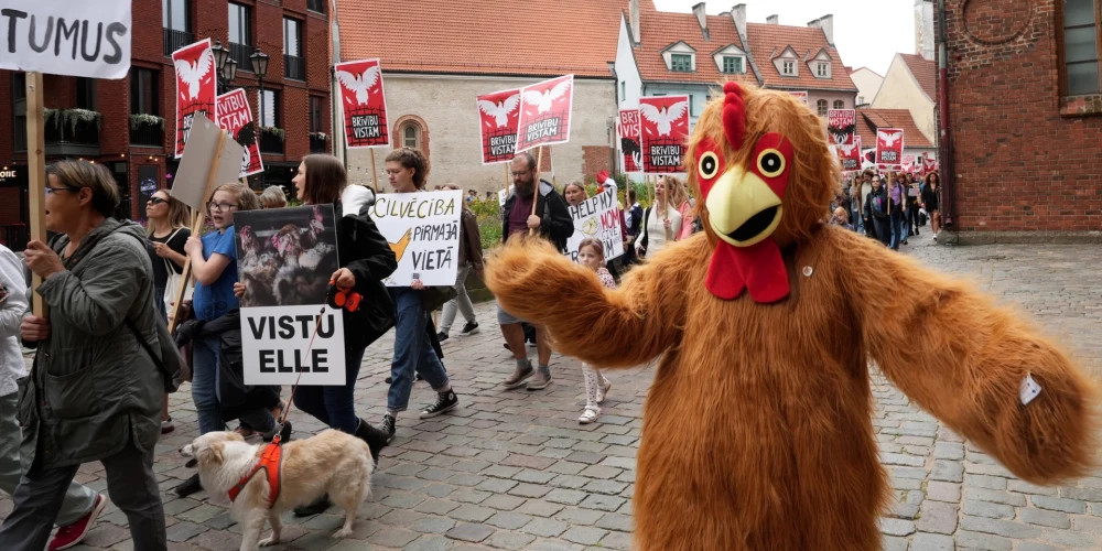 Зооактивисты готовы нарушить закон в борьбе с крупнейшей птицефабрикой Латвии