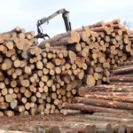 Аудит выявил, что Латвия недополучила 130,3 млн евро из-за ошибок Минземледелия