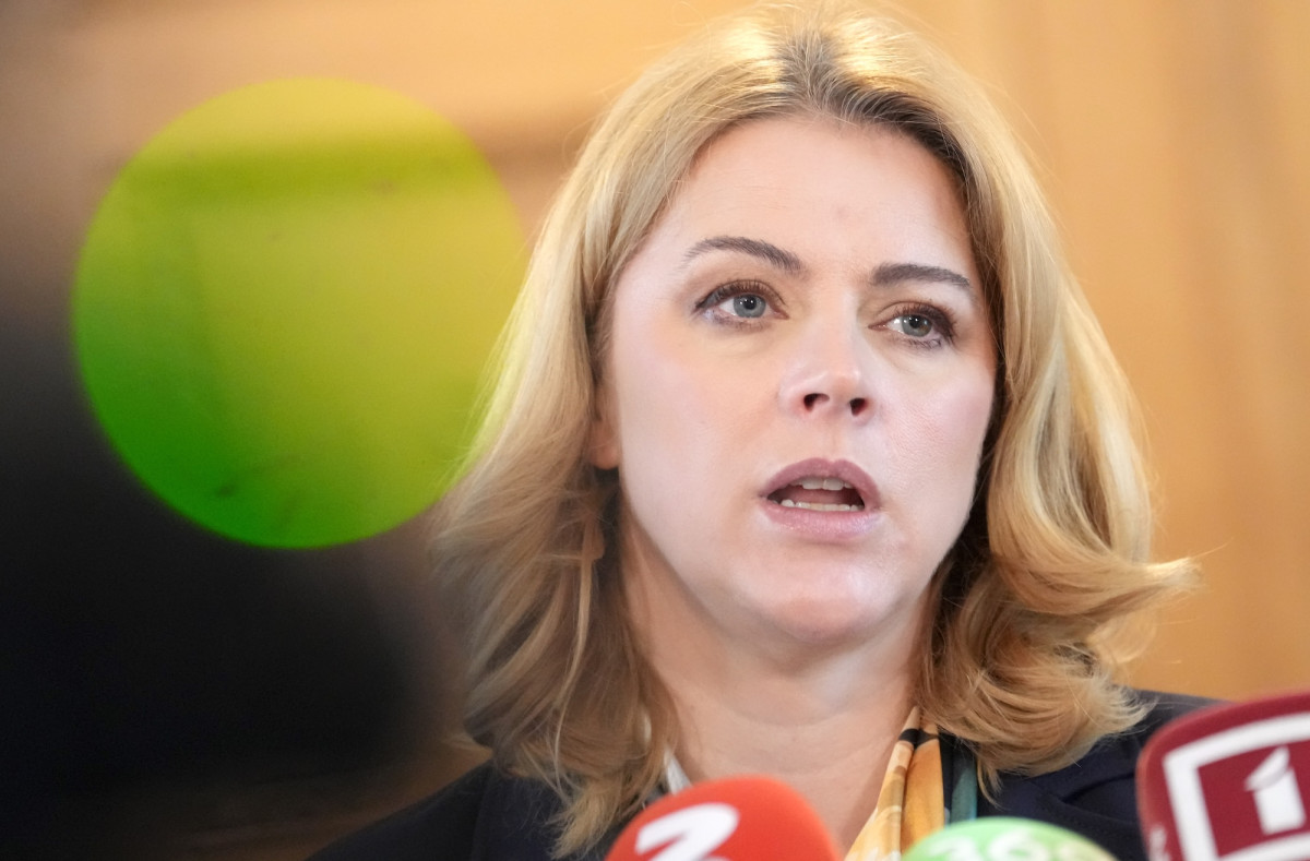 Эвика Силиня решила не уходить в отставку до политических консультаций с президентом