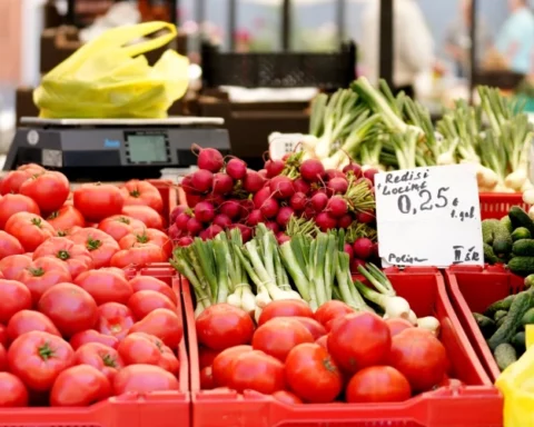 Латвийские фермеры не могут продать урожай из-за сложных сертификатов