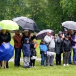 Латвию ожидают дожди и порывистый ветер до 19 м/с к середине недели