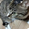 Приготовление кофе из косточек фиников в домашних условиях