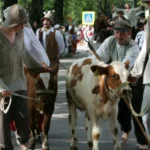 Сигулда проведет смотр служб безопасности и спасения на вокзале 21 мая