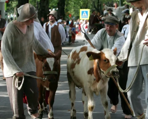 Сигулда проведет смотр служб безопасности и спасения на вокзале 21 мая
