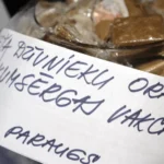 В Латвии прошла операция по вакцинации животных против бешенства