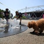 В Лондоне зафиксирован новый температурный рекорд для мая в 33,5°C