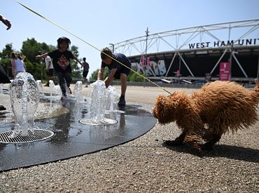 В Лондоне зафиксирован новый температурный рекорд для мая в 33,5°C