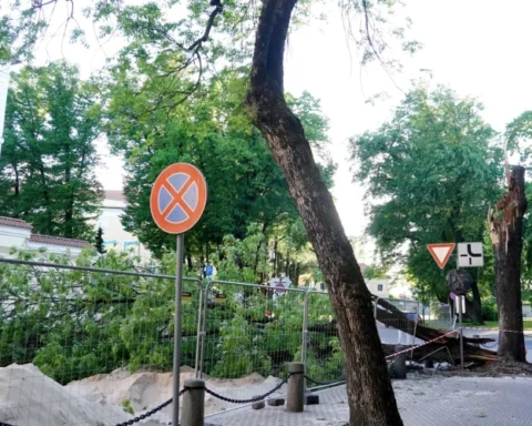 В Риге зафиксированы порывы ветра до 22 м/с, объявлено желтое предупреждение