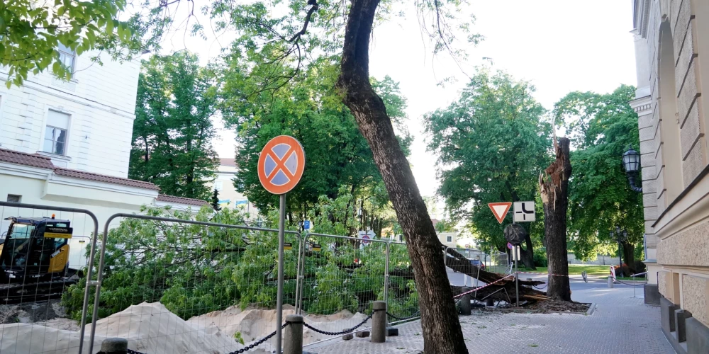 В Риге зафиксированы порывы ветра до 22 м/с, объявлено желтое предупреждение