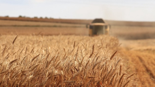 Венгрия запретила импорт сельскохозяйственных продуктов из Украины для защиты национальных интересов