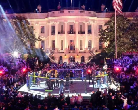 Турнир UFC у Белого дома собрал 34 миллиона зрителей по всему миру