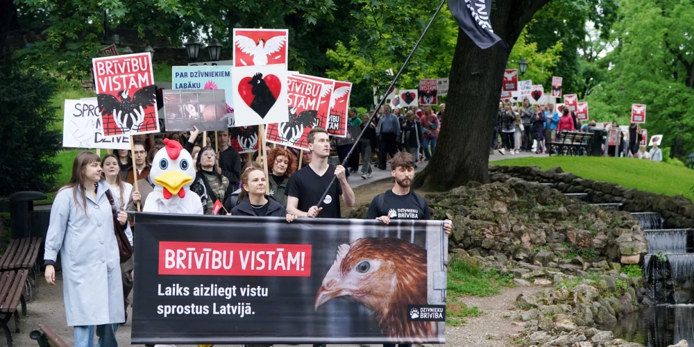 В Латвии подписан меморандум о благополучии кур-несушек и яиц